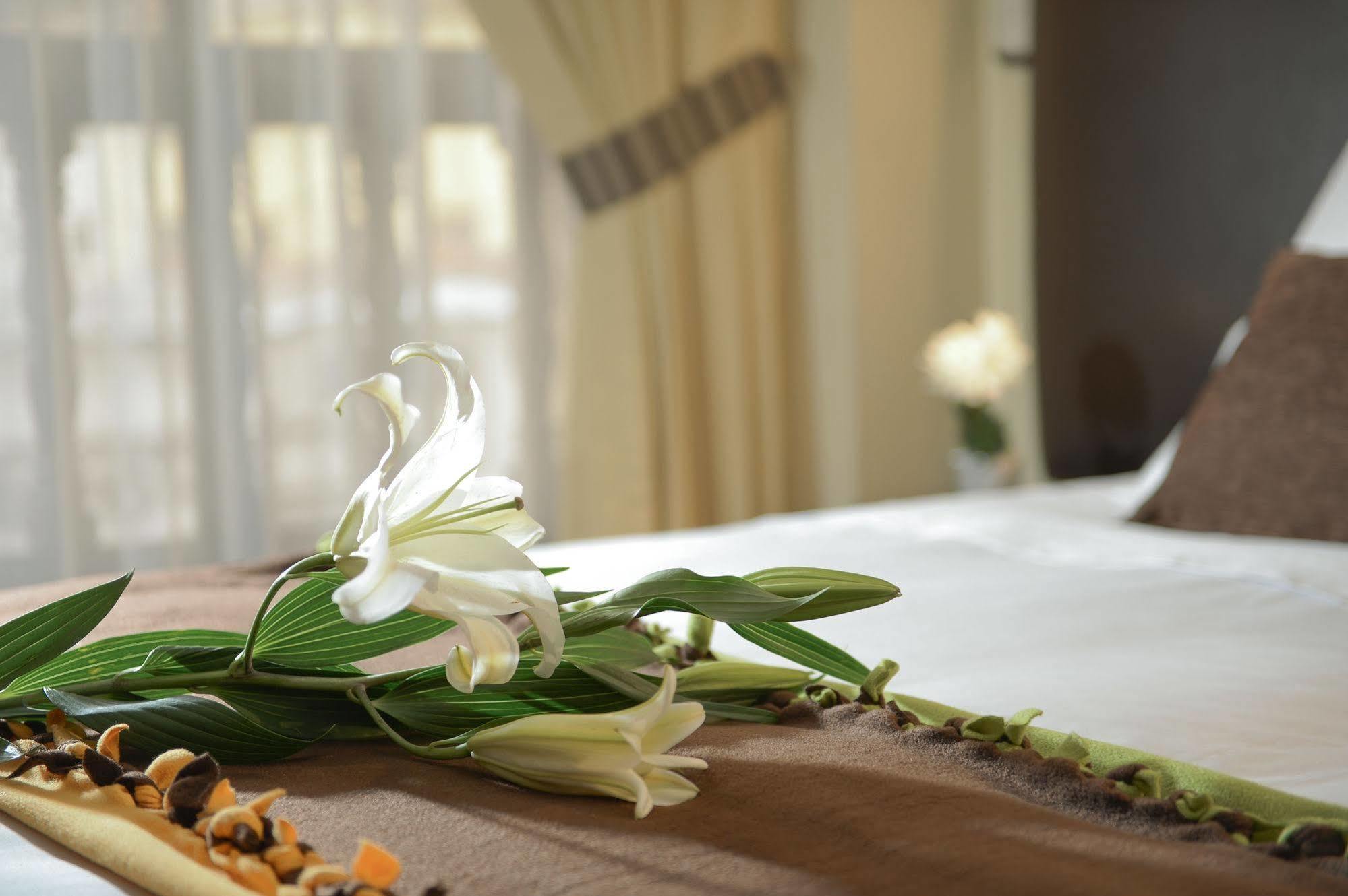 Tecte Guest House Κούζκο Εξωτερικό φωτογραφία
